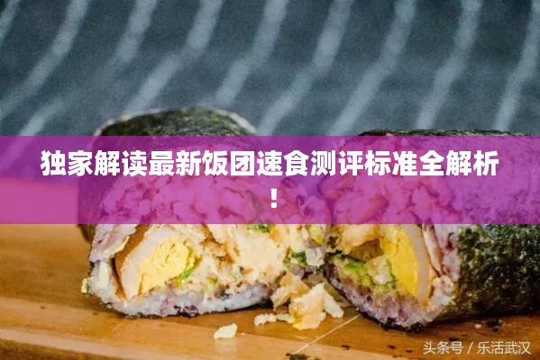 独家解读最新饭团速食测评标准全解析！