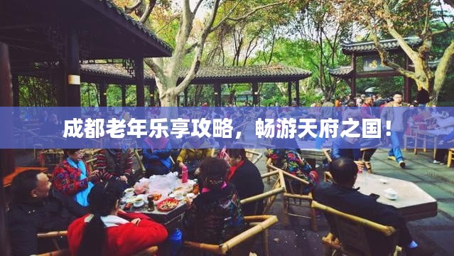 成都老年乐享攻略，畅游天府之国！