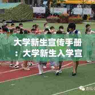 鸟栖虫居 第4页