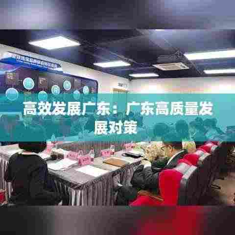 高效发展广东：广东高质量发展对策 