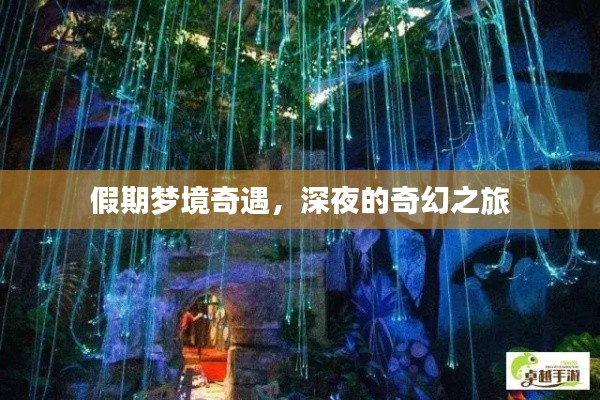 假期梦境奇遇，深夜的奇幻之旅