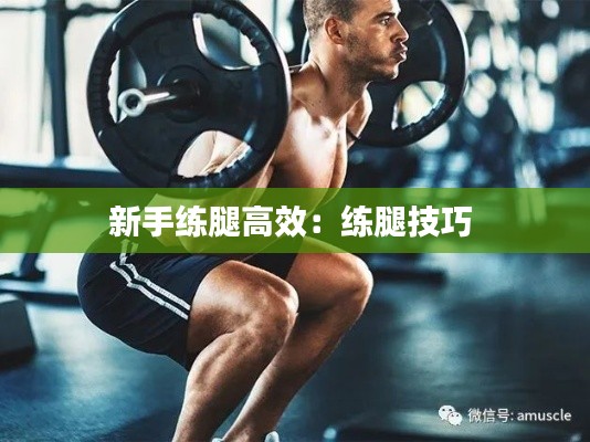 新手练腿高效：练腿技巧 