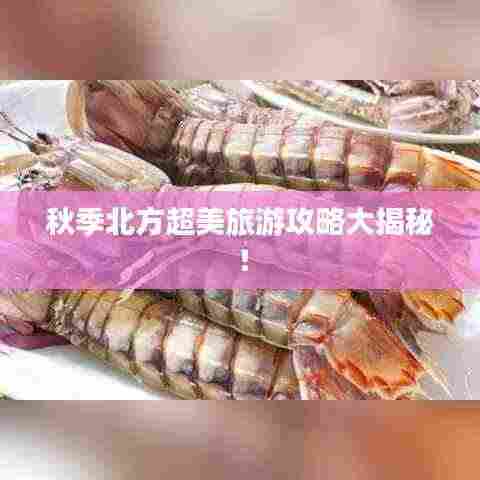 秋季北方超美旅游攻略大揭秘！