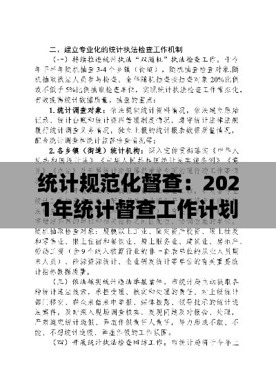 统计规范化督查：2021年统计督查工作计划 