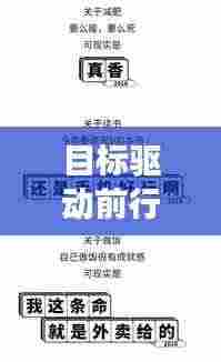 目标驱动前行，实现持续进步的秘诀