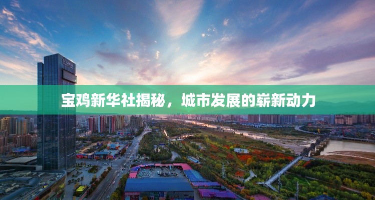 宝鸡新华社揭秘，城市发展的崭新动力