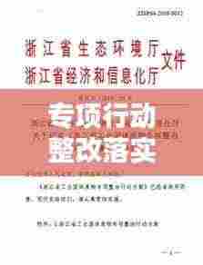 专项行动整改落实方案：专项整改工作的实施方案 