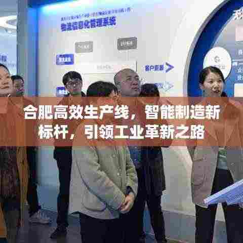 合肥高效生产线，智能制造新标杆，引领工业革新之路