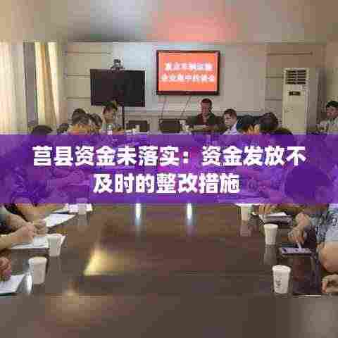 莒县资金未落实：资金发放不及时的整改措施 