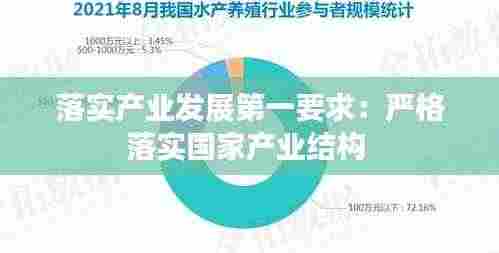 落实产业发展第一要求：严格落实国家产业结构 