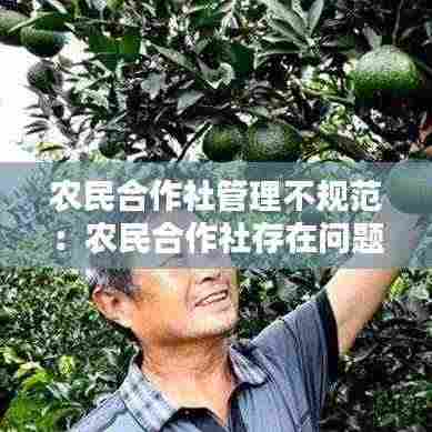 农民合作社管理不规范：农民合作社存在问题 
