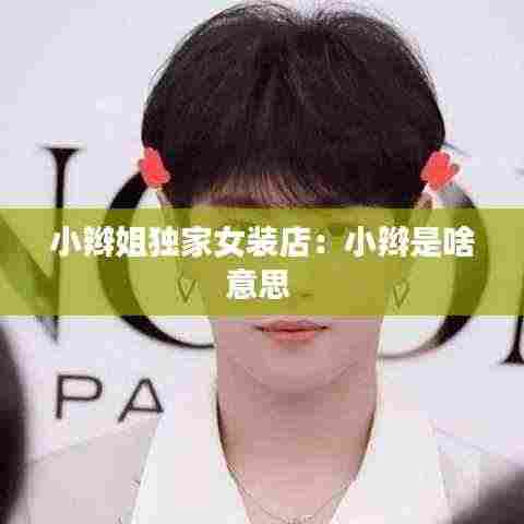 小辫姐独家女装店：小辫是啥意思 
