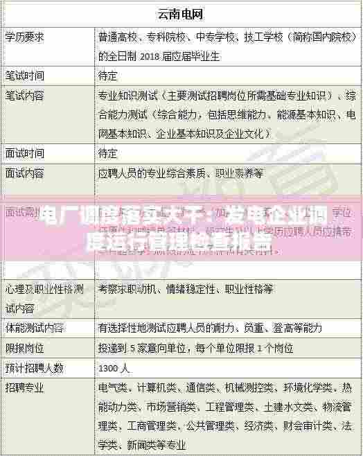 电厂调度落实大干：发电企业调度运行管理检查报告 