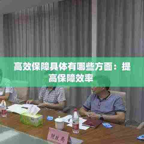 高效保障具体有哪些方面:提高保障效率