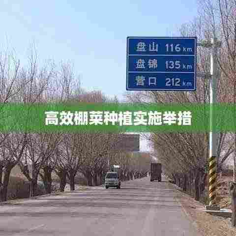 高效棚菜种植实施举措