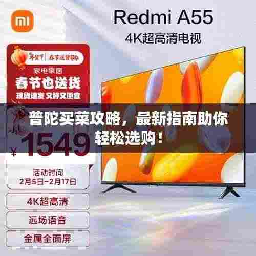 小家碧玉 第3页