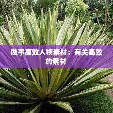 做事高效人物素材：有关高效的素材 