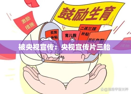 被央视宣传：央视宣传片三胎 