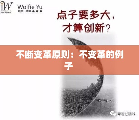 不断变革原则：不变革的例子 