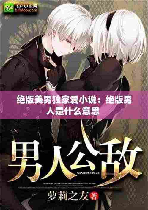 绝版美男独家爱小说：绝版男人是什么意思 
