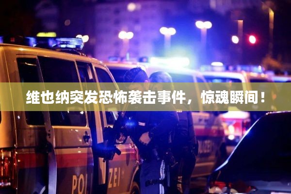 维也纳突发恐怖袭击事件，惊魂瞬间！