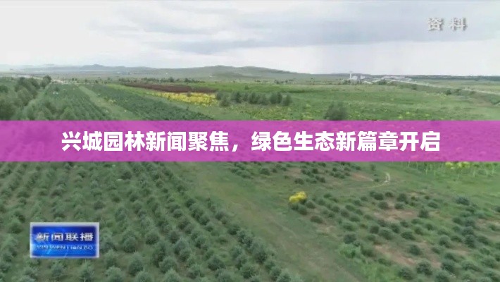 兴城园林新闻聚焦，绿色生态新篇章开启