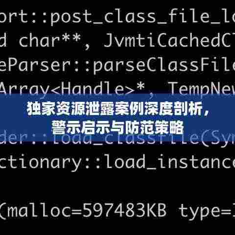 独家资源泄露案例深度剖析，警示启示与防范策略