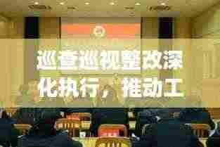 巡查巡视整改深化执行，推动工作实效，制度落实监督行动