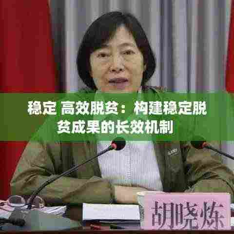 稳定 高效脱贫：构建稳定脱贫成果的长效机制 