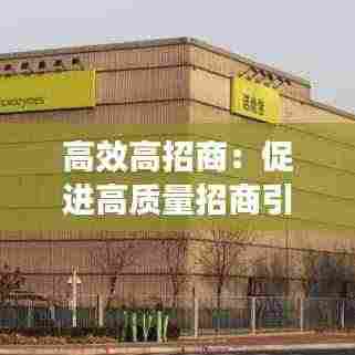 高效高招商：促进高质量招商引资心得 