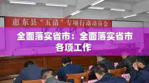 全面落实省市：全面落实省市各项工作 