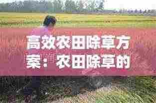 高效农田除草方案：农田除草的主要目的 