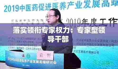 落实领衔专家权力：专家型领导干部 
