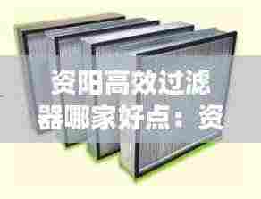 资阳高效过滤器哪家好点：资阳哪里有 