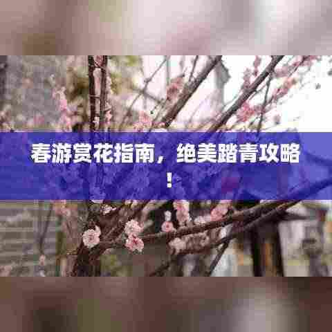 春游赏花指南，绝美踏青攻略！
