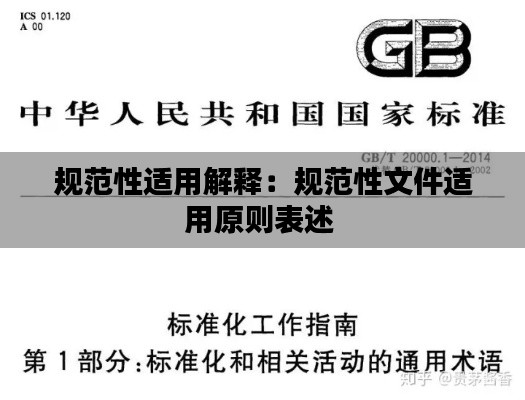 规范性适用解释：规范性文件适用原则表述 
