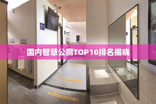 国内智慧公厕TOP10排名揭晓