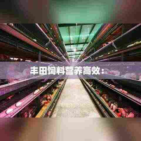 丰田饲料营养高效： 