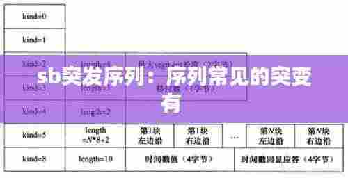 sb突发序列：序列常见的突变有 