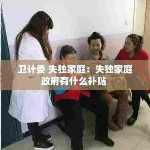 卫计委 失独家庭：失独家庭政府有什么补贴 