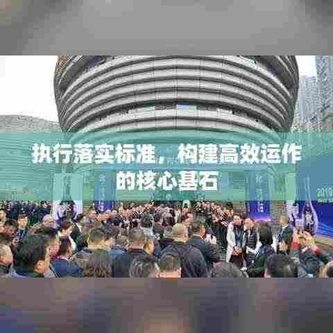 执行落实标准，构建高效运作的核心基石