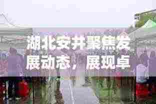 明目张胆 第4页