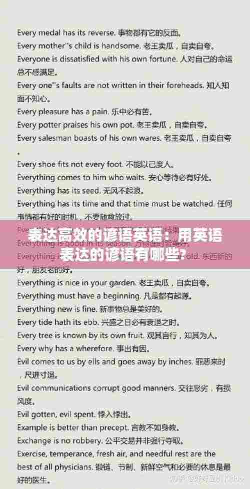 表达高效的谚语英语：用英语表达的谚语有哪些? 