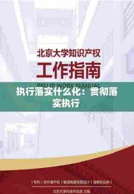 执行落实什么化：贯彻落实执行 