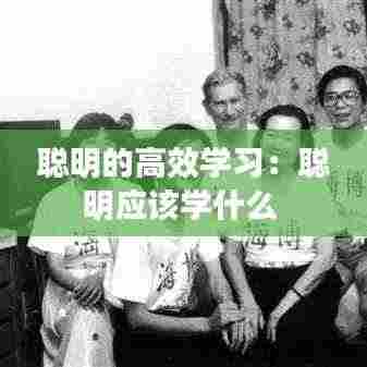 聪明的高效学习：聪明应该学什么 