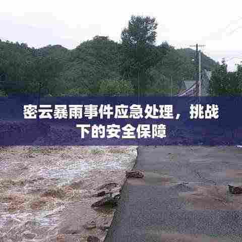 密云暴雨事件应急处理，挑战下的安全保障