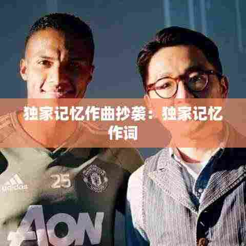 独家记忆作曲抄袭：独家记忆 作词 