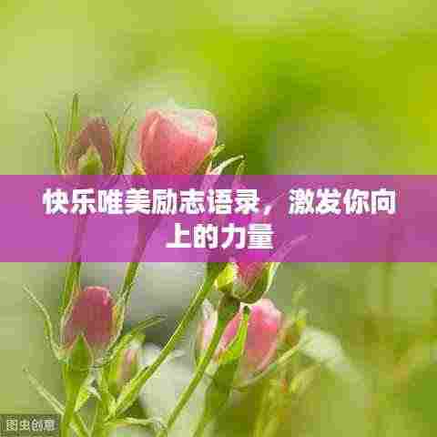 快乐唯美励志语录，激发你向上的力量