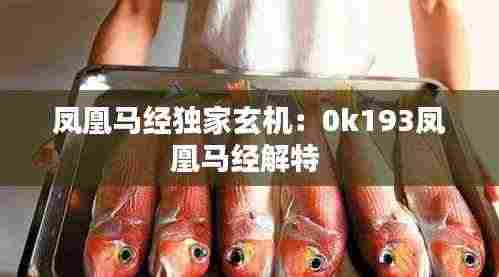 凤凰马经独家玄机：0k193凤凰马经解特 
