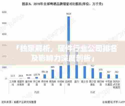 「独家解析，硬件行业公司排名及影响力深度剖析」